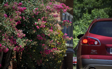 Van with flowers next to it